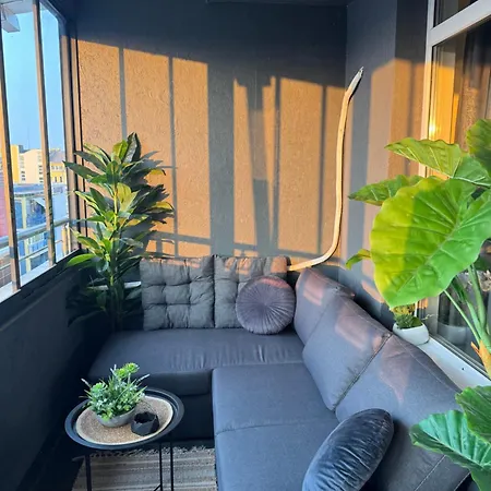 Bella - Complex Rainbow 阳光海滩