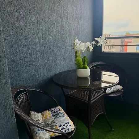 Bella - Complex Rainbow * 阳光海滩